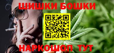 СК Бийск