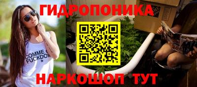 СК Бийск
