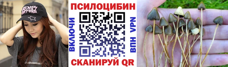 цены   кракен зеркало  Псилоцибиновые грибы MAGIC MUSHROOMS  Белово 