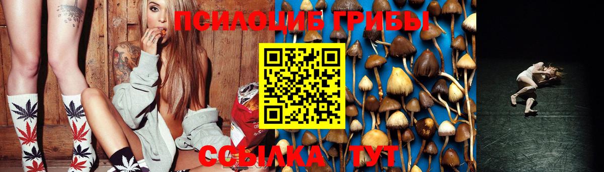 Галлюциногенные грибы Cubensis  Вход с VPN  Галлюциногенные грибы Psilocybine cubensis  Белово 