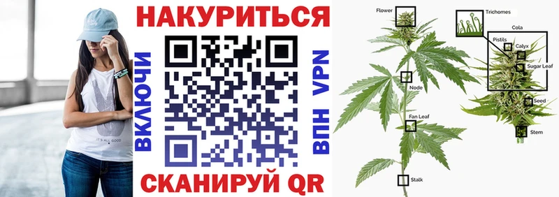 Бошки марихуана Amnesia  закладка  Белово 